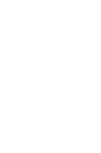 Spirit Horse